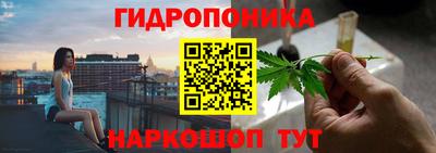 PSILOCYBIN Уссурийск