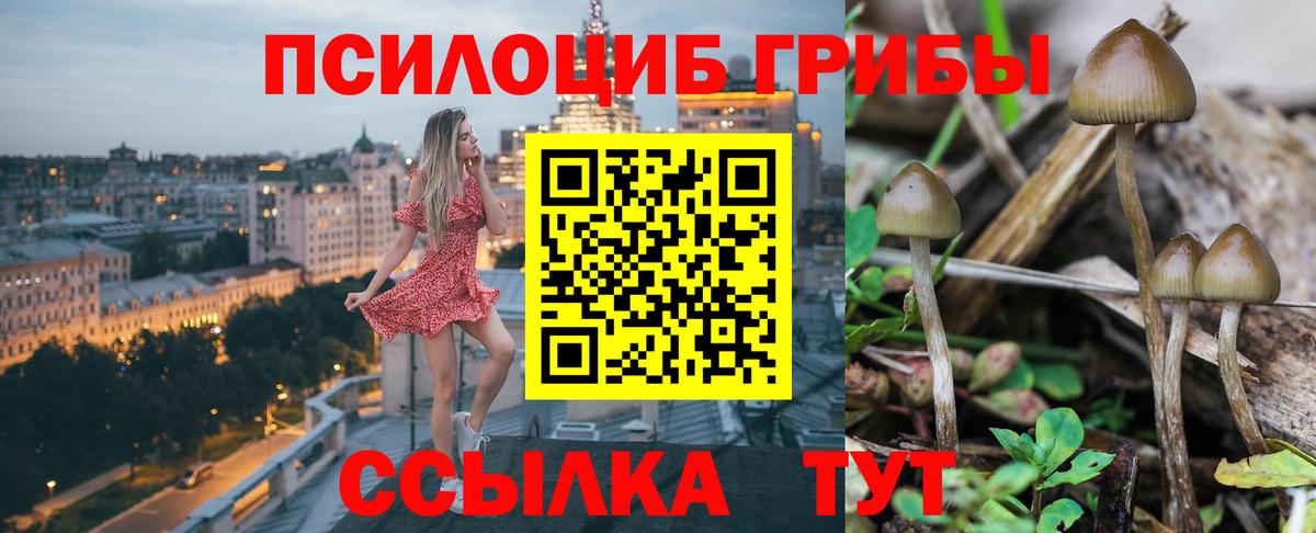 Норильск  Галлюциногенные грибы мицелий  Галлюциногенные грибы Psilocybe  Вход с VPN 
